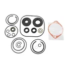 100-6110 Exmark Overhaul Seal Kit Lazer Xp Xs Ds Series 103-2919 109-8113. Fixed Price $92.99.