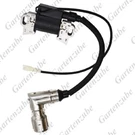 Ignition Coil For Craftsman LT4200 LT1500 R1000 T1000 T1200. Fixed Price $20.00.