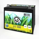 Kubota T1670 U1 Lawn Mower And Tractor Replacement Battery. Fixed Price $83.99.