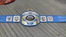 National Champions Mvp Defensive Title Belt/ Brass Plated. Fixed Price $199.99.
