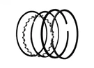 Kohler K-241 10HP Piston Ring Set (+010) Rotary #6747 Replacement 235288S. Fixed Price $10.65.