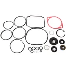 Genuine Oem Hydro-gear Pump Overhaul Kit Seals Gaskets For Exmark 105-6184. Fixed Price $52.99.