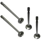 Pk Intake Exhaust Valve Set For B&s 691804 261528 691794 390420 (G2). Fixed Price $73.99.