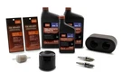 Toro 20294, 139-0646 Oem Engine Maintenance Kit For Timecutter & Titan Zero-turn. Fixed Price $84.99.