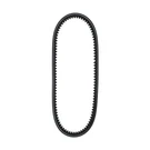Genuine Toro #42-0884 Cogged Belt. Fixed Price $10.00.