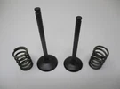 Genuine Kawasaki 12005-0777 Exhaust 12004-0733 Intake Valves Springs 49078-7002. Fixed Price $64.99.