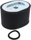 New Briggs & Stratton Oem 799818 Air Cleaner Filter 25T232-0007-F1. Fixed Price $35.35.