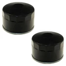 Set Of Oil Filters Fits Briggs And Stratton Lawn 798576, 841023B, 842921. Fixed Price $22.89.