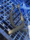 Toro Timecutter Z5035 Steering Arms 117-5339 / 117-5338 74376. Fixed Price $50.00.