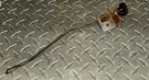 Governor Control Rod 390167 Briggs & Stratton Model 190406. Fixed Price $18.00.