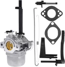 Carburetor For Briggs & Stratton 1450 Series Engine Craftsman Nikki 793779. Fixed Price $40.65.