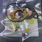 Briggs & Stratton Oem 695157 Snow Blower Kit-carb Overhaul. Fixed Price $24.99.