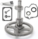 793880 Camshaft For Briggs & Stratton Vertical Engine 331877-2371-G5. Fixed Price $36.78.