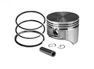 Rotary 8793 493262 For Briggs & Stratton Piston Assembly. Fixed Price $51.44.