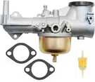 Carburetor For Briggs&stratton 491589 491028 252707 220702 220707 253707 Engine. Fixed Price $29.20.