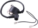 Ignition Coil Module 503639801 587329601 For Husqvarna 394 395 Chainsaw. Fixed Price $24.98.