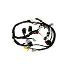 Kohler 24 176 258-S Wiring Harness Assembly Genuine. Fixed Price $284.99.