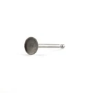 New Briggs & Stratton Oem 795443 Valve-intake. Fixed Price $36.61.