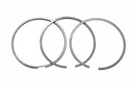 Tecumseh 35779 Standard Ring Set. Fixed Price $32.03.