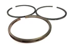 New Briggs And Stratton Oem Ring Set-std Part Number 791969. Fixed Price $50.99.