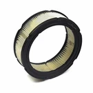 Briggs & Stratton 394018S Round Air Filter Cartridge. Fixed Price $19.49.