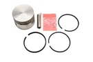 Rotary 23-2721 Std. Piston Kit Qty Nos. Fixed Price $69.99.