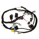 Part# 24-176-258-S Oem Kohler Wiring Harness Assembly ECH630-730 ECV730-3040. Fixed Price $196.99.