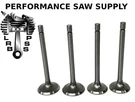 New Intake & Exhaust Valves Replaces Briggs Stratton Intek 18 19 20 22 25. Fixed Price $99.95.