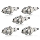 Pcs Spark Plug Briggs Stratton 492167S, 493944, 5095D, 802592S, 293918, 29693. Fixed Price $14.99.