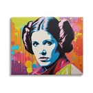 Stupell Industries Paint Splash Leia Canvas Wall Art By Birch&ink 20"L X 16"W. Fixed Price $67.51.