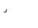 John Deere M112234 Link. Fixed Price $18.85.