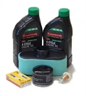 Gl Tune Up Kit With 10W-40 Oil For Kawasaki FR651V FR691V FR730V All Fs. Fixed Price $34.97.