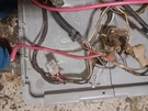 Craftsman Poulan LT1000 LT2000 Wiring Harness 156442 Speed. Fixed Price $88.00.
