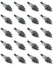 Pk Echo 15901019830 Ngk BPM8Y 2057 5574 Spark Plug. Fixed Price $62.99.