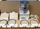 Wisconsin Piston DB190B1SP20 & DR31CS-20 Rings. Fixed Price $149.95.