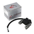Ignition Coil For Briggs & Stratton 796964, 695711, 492416 Small Lawn Engine. Fixed Price $18.99.