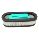 Fits Briggs And Stratton 394019S Air Filter. Fixed Price $19.99.