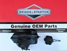 Genuine Oem Briggs & Stratton 596506 Now 84004717 Was 84002205 Fuel Tank. Fixed Price $199.85.