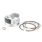 New Briggs And Stratton Oem Piston Assembly Part Number 793560. Fixed Price $178.99.