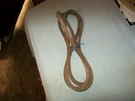 1 Of Pix Part # A-37 89 Belt Replaces Murray Stens 265-030. Fixed Price $15.93.