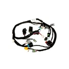 Kohler 24 176 258-S Wiring Harness Assembly Genuine. Fixed Price $199.56.