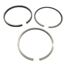 Briggs & Stratton 298175 Piston Ring Set .010 O.s. 100201 100202 Genuine Oem Nos. Fixed Price $14.95.