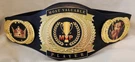 Mvp Championship Belt Most Valuable Player Title, Award, Gift, Sports, Winner. Fixed Price $124.95.