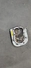 Briggs And Stratton 691163 Head. Fixed Price $18.29.