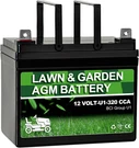 Lawn Garden Agm Battery Group (U1-320CCA) Rechargeable Sla Starting Fo. Fixed Price $101.36.