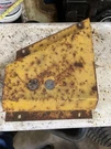 Cub Cadet Ih U1116 Deck Cover Spindle Left Side. Fixed Price $9.00.