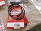 Oem Briggs & Stratton 399067 Std Ring Set. Fixed Price $18.99.