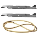 46" Lawn Tractor Deck Blade & Belt Kit For Sears Yts 3000 405830 405143. Fixed Price $52.99.