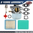 Carburetor Kit 794304 For Briggs & Stratton 799866 796707 790845 799871. Fixed Price $14.25.