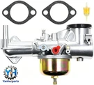 Carburetor For Briggs&stratton 491589 491028 252707 220702 220707 253707 Engine. Fixed Price $39.67.
